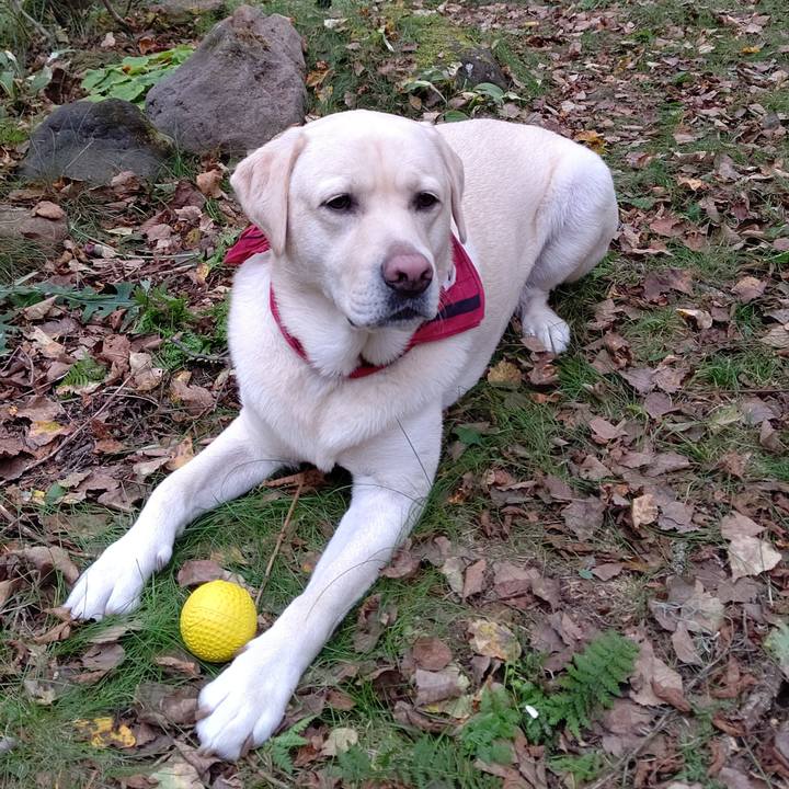 D4e135b6 d8d5 4b8a 80a1 70b396d9d6e1 1601792755330