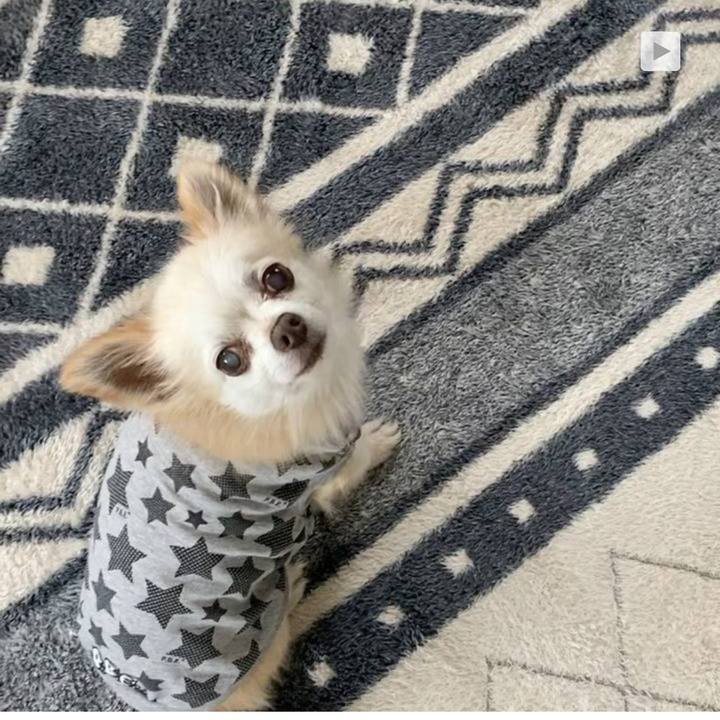 D4e15b31 0fb2 4494 a0ab a439bce17da8 1650115413449