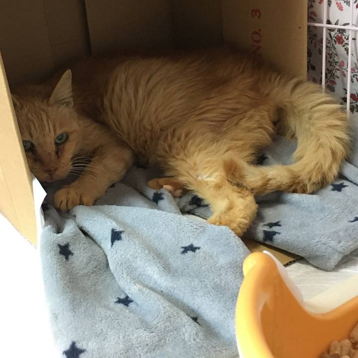 D4e15eac a6e3 44f9 a518 bad4cab1901b 1608685487069