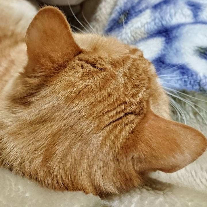 D4e183a8 d698 4741 8dd9 834b8c421a88 1648472105421