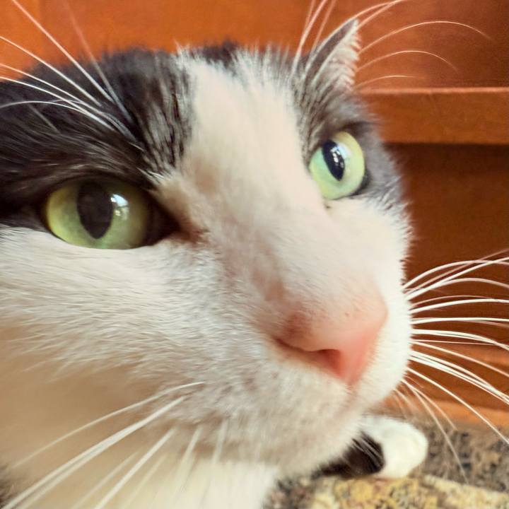 D4e18d5b 3fd9 4484 95b3 7539abfb2511 1731113323227