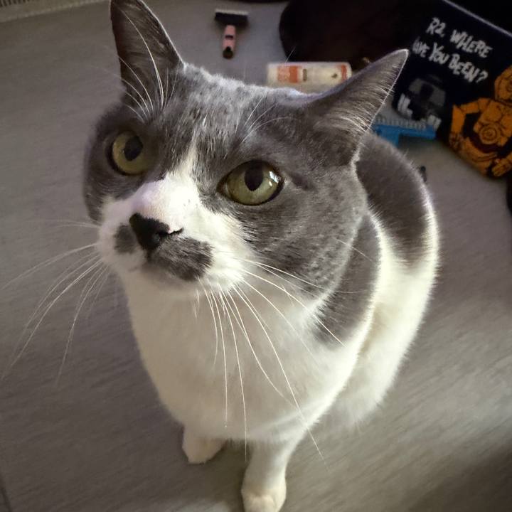 D4e1c5f7 deef 435b a1d3 9d48149c68fd 1771199620672