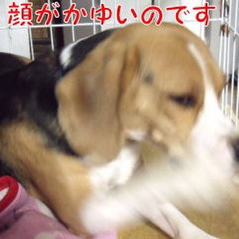 D4e1e7e0 00ad 4c78 bd66 c15267317e92 1700178928888