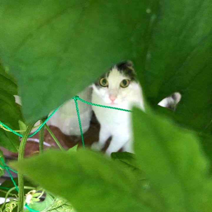 D4e1f10d fcd2 4209 866e a9cbbf85a5a8 1689543282485