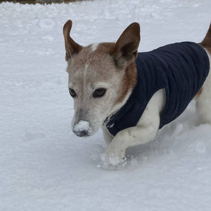 D4e1f118 5cb6 431b 862c 37195dc231fe 1770529952826