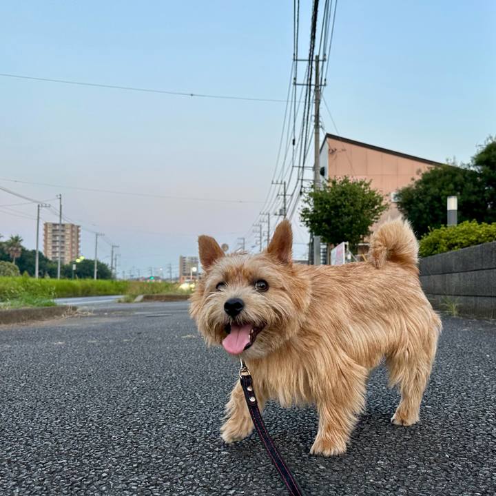 D4e25281 5467 4955 8a26 4c22c8f552c1 1754338105294