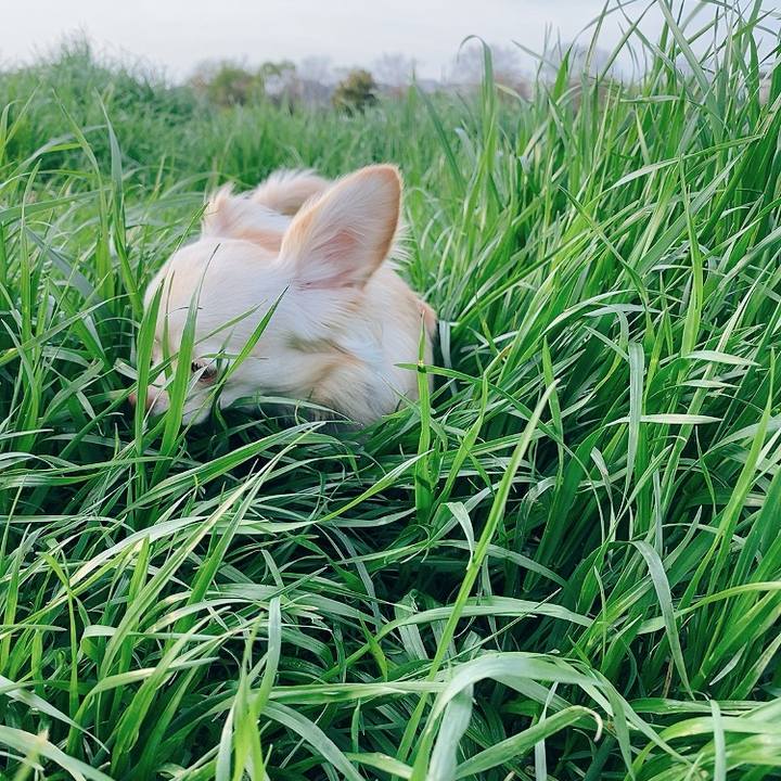 D4e25921 4765 427d 88d0 29e577d3f032 1617883916971