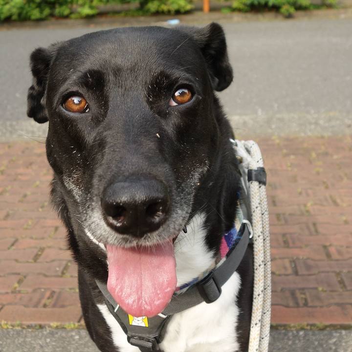 D4e25e03 05c3 4c59 9a14 f23d83ce6236 1654384991667