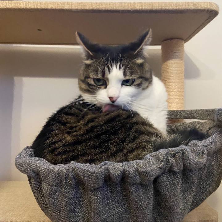 D4e277d4 02c4 45cc 8daf 82837f6803dd 1715696422154