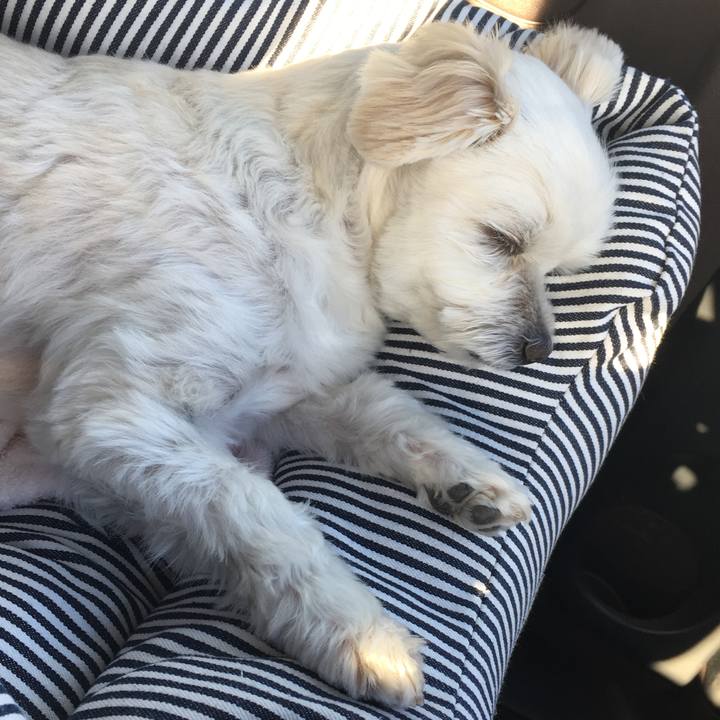 D4e28d73 2c34 40ec 97cd a0a69909076b 1543057932868