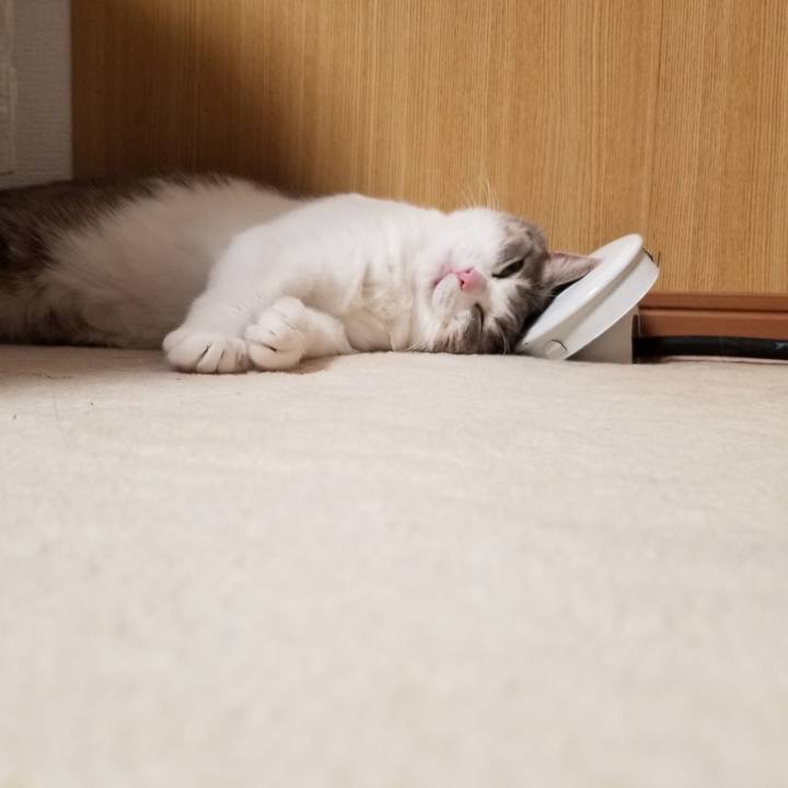 D4e2f8f4 2ac6 4284 8d68 2cf761a1664b 1638966474894