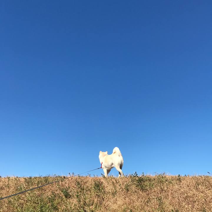 D4e2f9a1 87a4 464a b8fc 3f18d98d6541 1515898679185