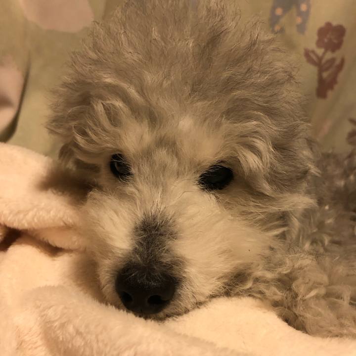 D4e2fe51 7ce8 41ba 9570 3c2f43a039d4 1614828230399