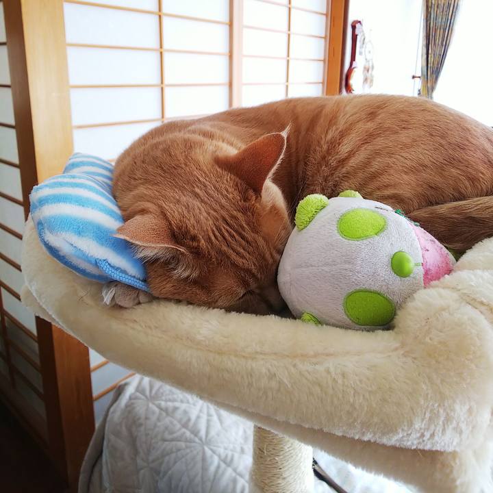 D4e32338 4641 460f ab0e 52e4b78728f3 1590202794198