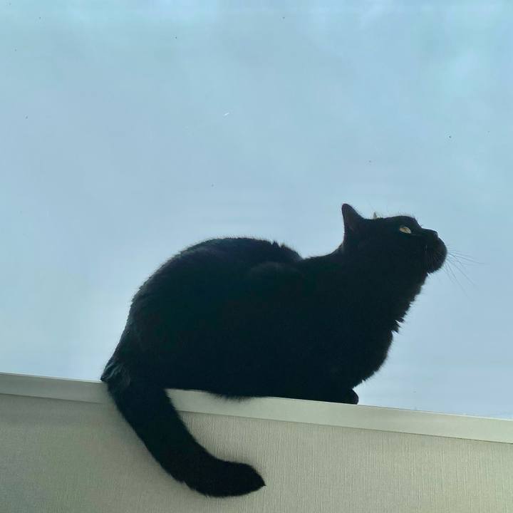 D4e34e48 8801 4722 b8c1 d612da757ebb 1645411367926