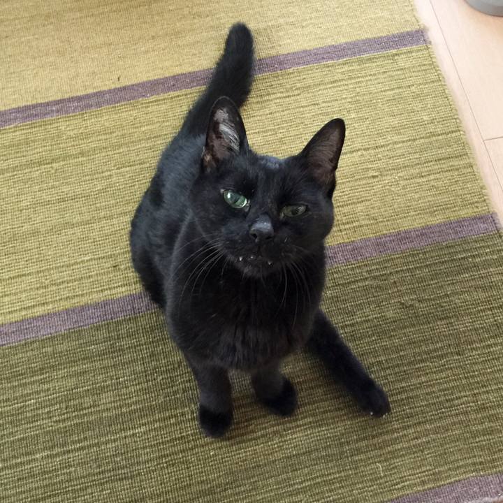 D4e35853 ebd5 4ea8 bc0f a182ac6b5cbc 1550913728849