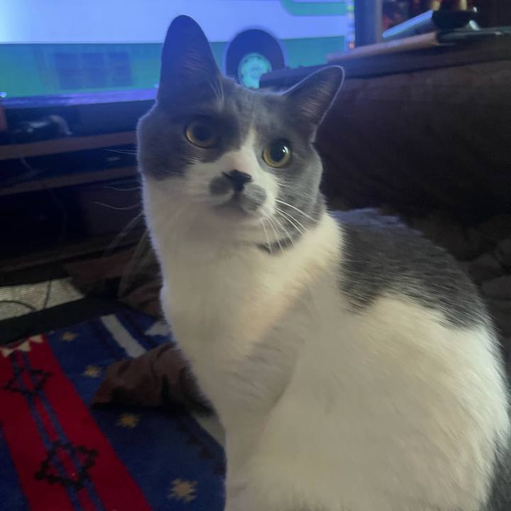 D4e3784f 0b6a 44e8 8b0b d9065ca14b55 1676930392440