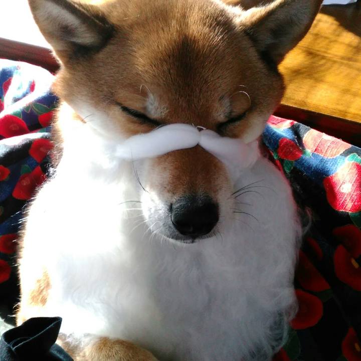 D4e3c881 1f2d 44c8 8ad7 7442a4c2373e 1513569389999