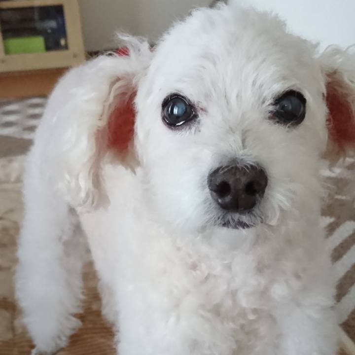 D4e3dbd4 4626 42b4 97f1 e6628151381a 1602664794808