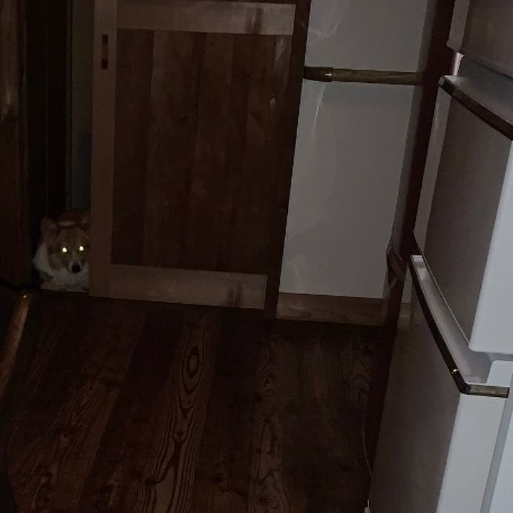 D4e408ef e59b 437d ac9c 9a6fad0f37b1 1632647721987