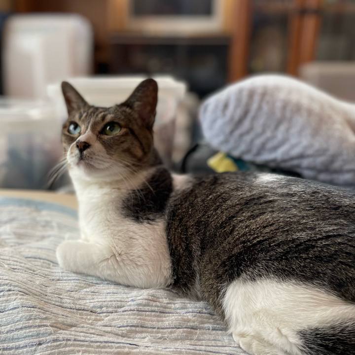 D4e40b10 d16c 4853 88b2 40b876b24399 1661478896138