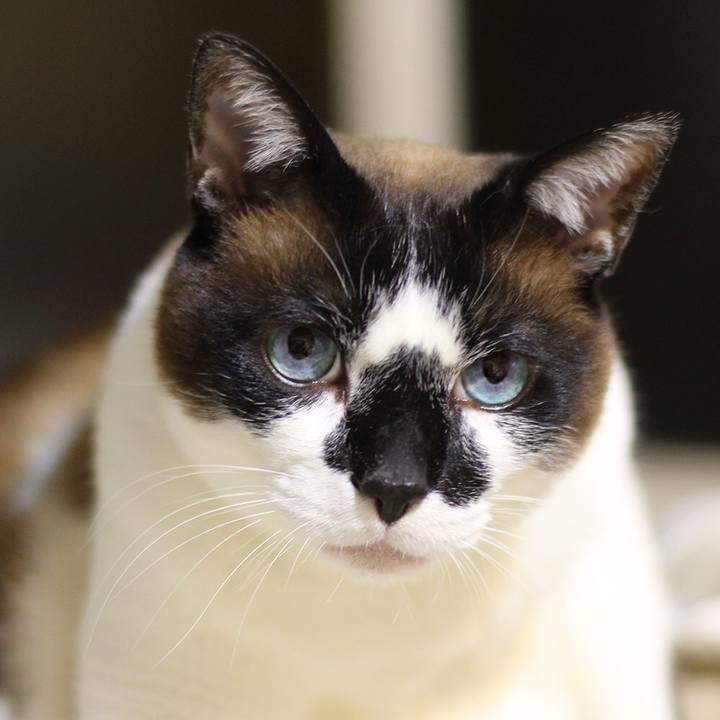 D4e45cf2 c9a7 45dc beb7 973c1829752f 1543924132994