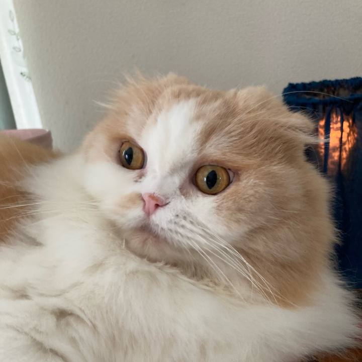 D4e49cd0 86ad 4a92 9198 457a9047f537 1661695598488