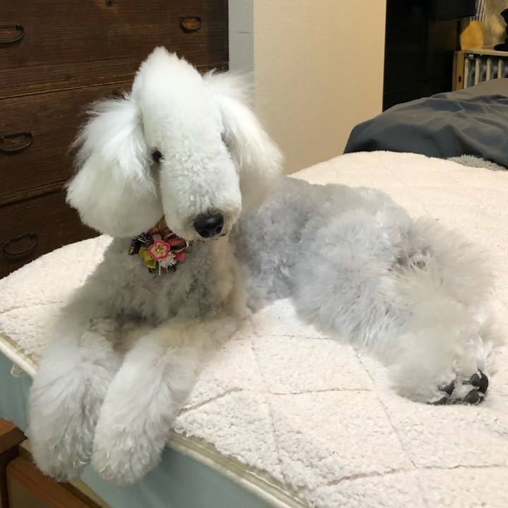 D4e556df 4bd8 4af5 9bba 761a57eea40c 1609046656346