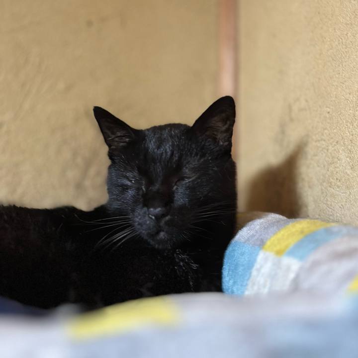 D4e57271 1d44 41c6 be96 cd454d26597e 1695692167623