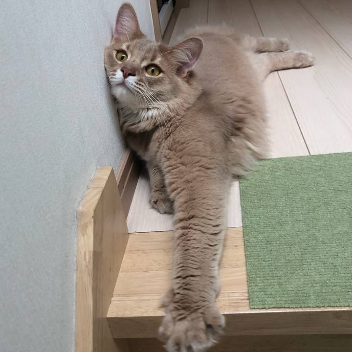 D4e57781 4a64 4da3 ad8b 5b79b008948e 1559616385834