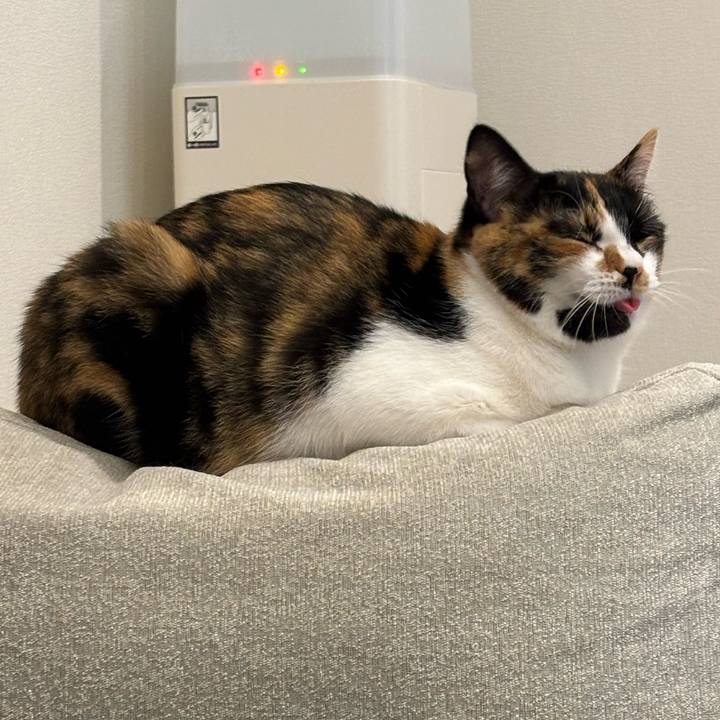 D4e5c04a 40ab 48fa 81a9 6c129669e0fc 1774970139996