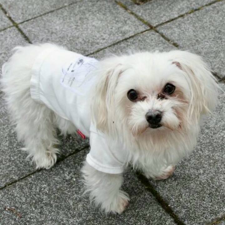 D4e5e14d 113d 48f1 8887 47d3bb781b82 1758680102723