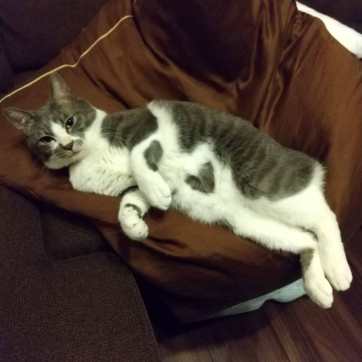 D4e5e99b dae7 4bf5 94eb ae66982b9867 1614518594051