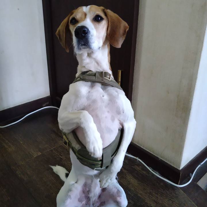 D4e5eb79 0a99 42e4 9790 f9c8181a332b 1672234430314