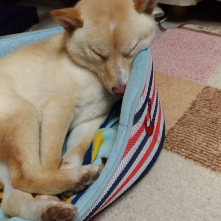 D4e5f213 6b00 4e23 88ab 497a250d60cb 1523530855399