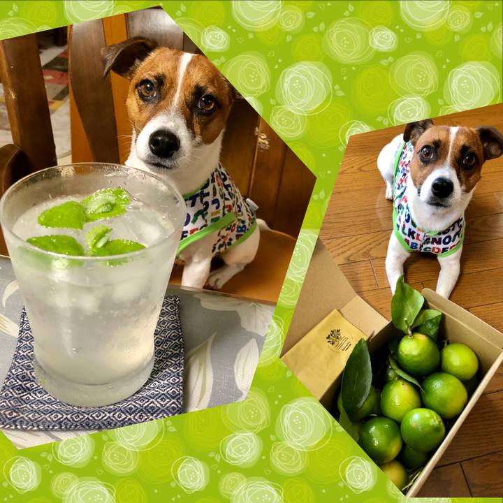 D4e618a3 3cfb 4de0 b34f a9f00fdf08b1 1600943092909