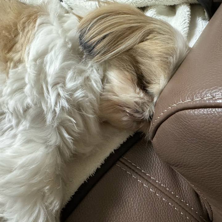 D4e626f9 e54b 41f8 9610 5797f790c5b2 1740562697896