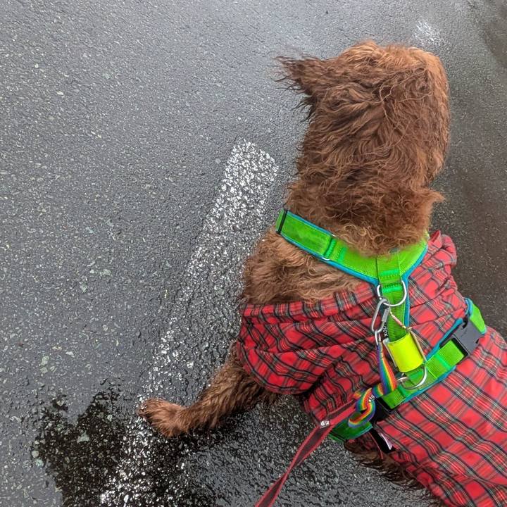 D4e64d94 9864 4284 a990 98c52d41aae7 1775341871599