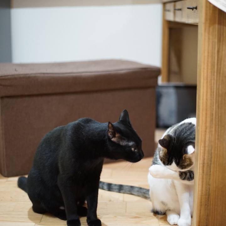 D4e657be 8fe4 4986 8e61 bedade1af0ff 1528119524457