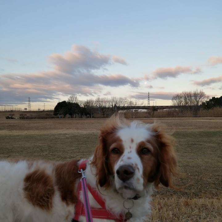 D4e67ff7 5126 4512 be9c 3cb8b037ed24 1611964811617