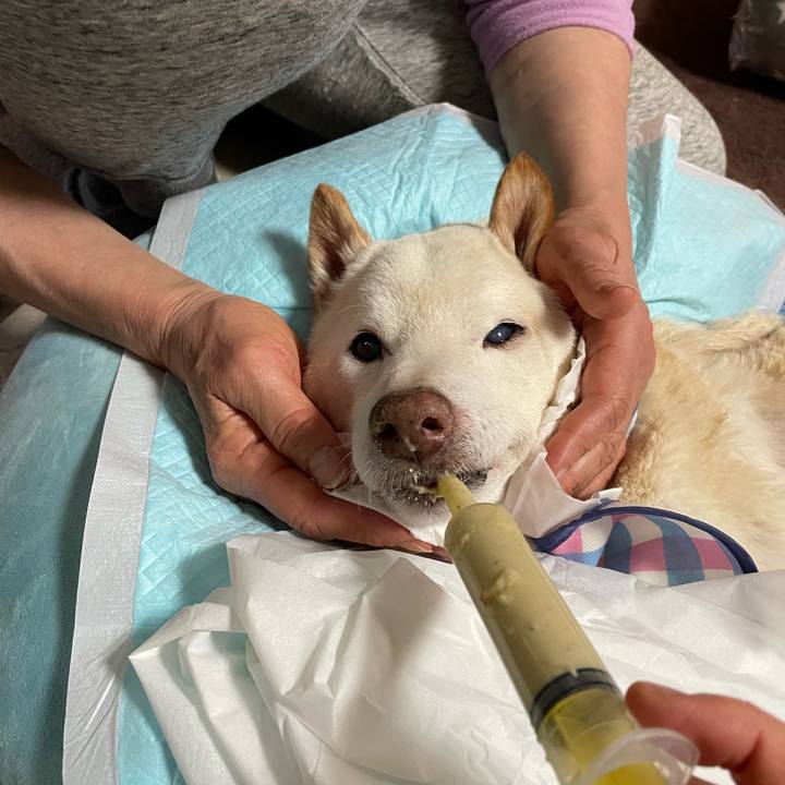 D4e6b052 5c34 4420 abd0 a298180f3a60 1674001961379