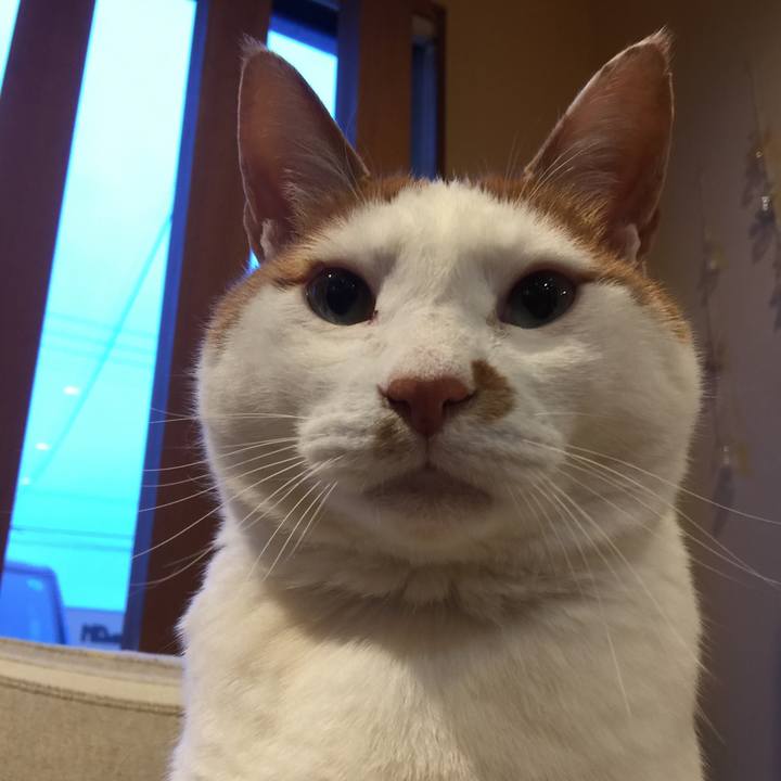 D4e6b0e8 fb65 44d3 92d6 14a527c7bf19 1521631985167