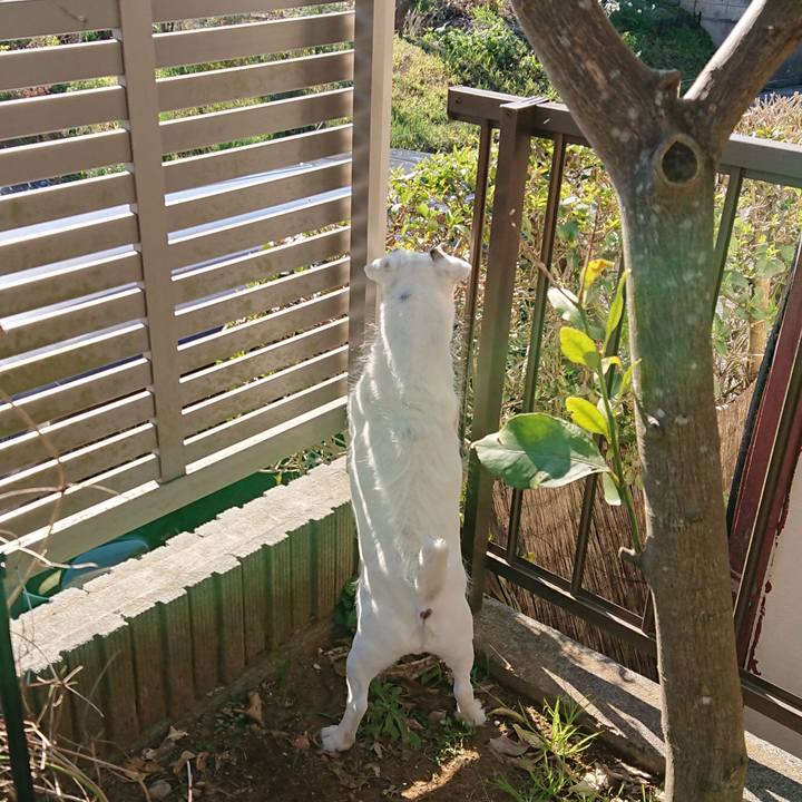 D4e6b7d7 ba71 4f0e a5a9 a4d7a4a0e0b5 1548026863103