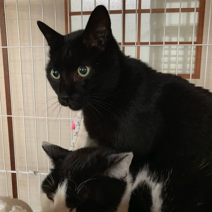 D4e6f2d4 ec41 4bd6 b3de 5ddd8f30c07f 1548117845631