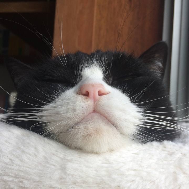 D4e710e3 82be 45d0 a9cc 9ec82001a3bb 1576675218389