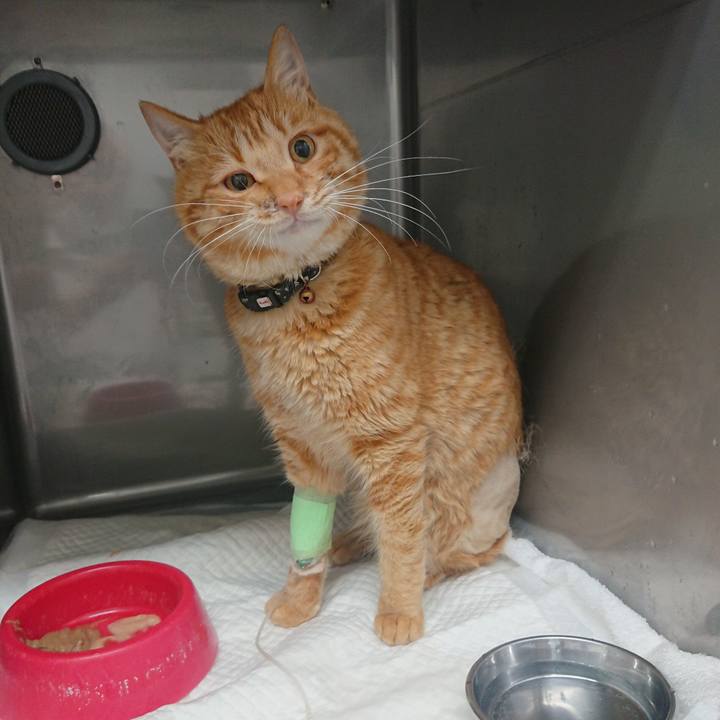 D4e74c00 fe11 4f3d 9541 355b24a3b44e 1653555971443