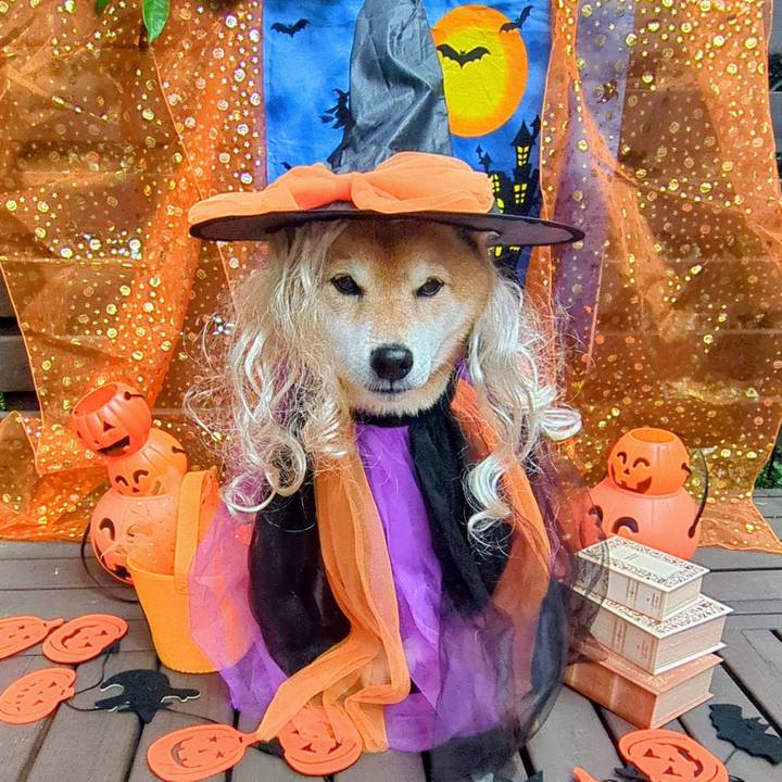 D4e77eef 9dbe 46ee 99a0 b3324606b1e6 1761879277607