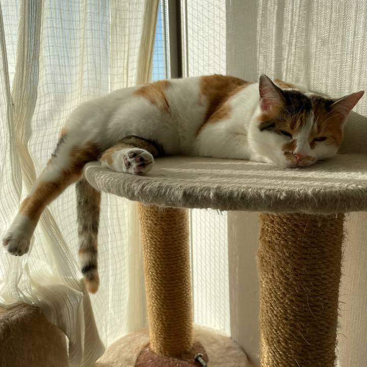 D4e7a2ac 127a 433f 9f62 4426b1a415fe 1605936201686