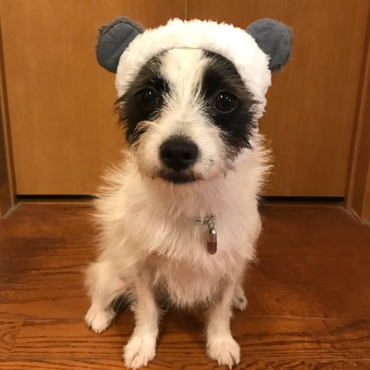 D4e7b806 e967 4aff ae4f 361078c5f7f0 1530440942664