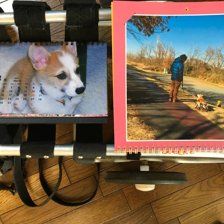 D4e7c0b1 2d20 487e b823 23c7b21c7cdf 1583031940739